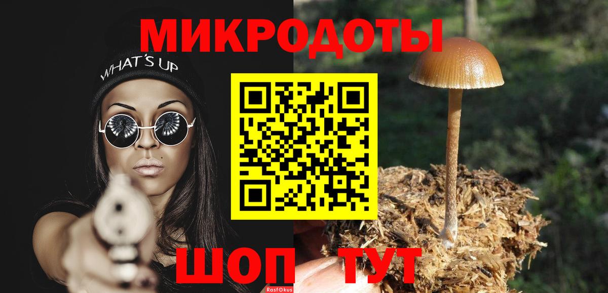 где купить наркоту  Псилоцибиновые грибы прущие грибы  Шебекино  Вход с VPN  Галлюциногенные грибы GOLDEN TEACHER 